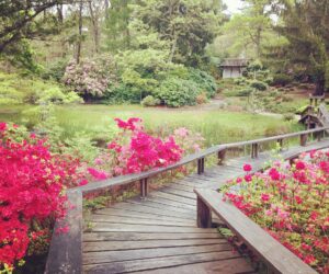 Trustees of Reservations