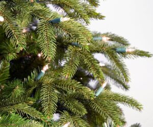 BSFNA Tree & Wreath Sale